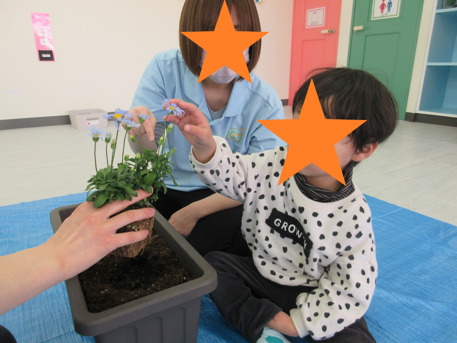 ブログ画像